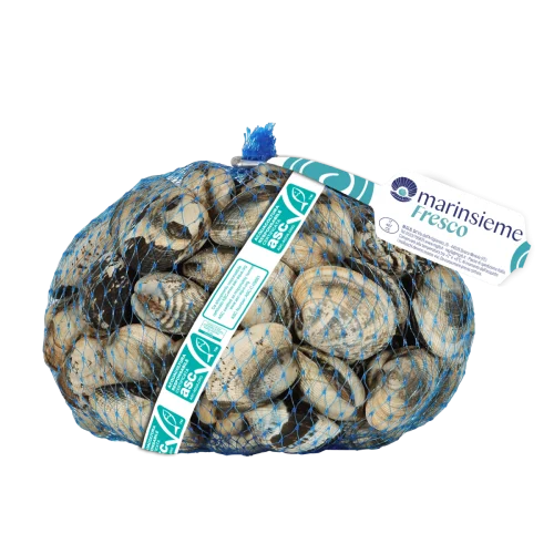 Vongole